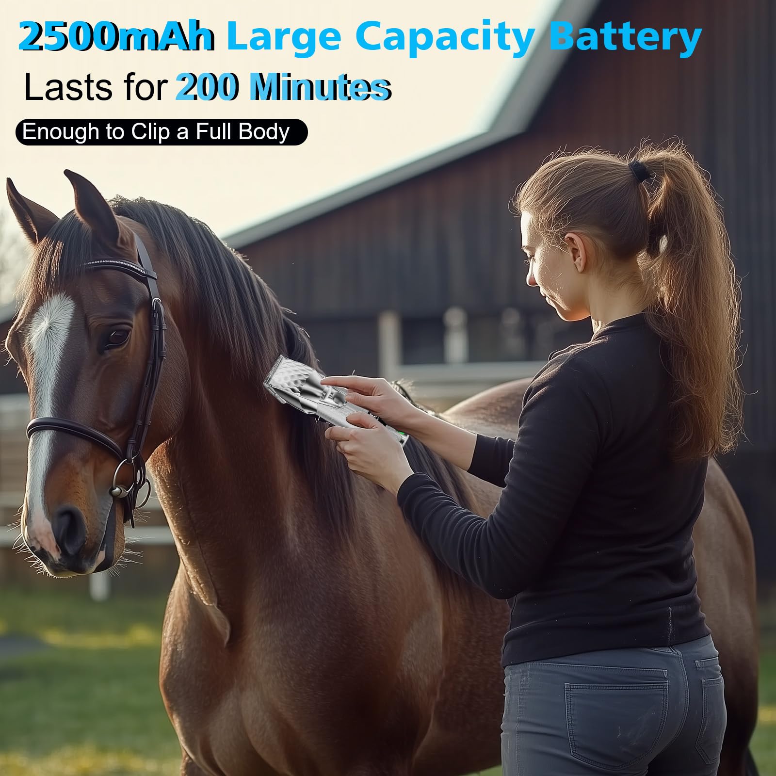 Fernlandia Horse Clippers operate quietly under 60dB for calm grooming