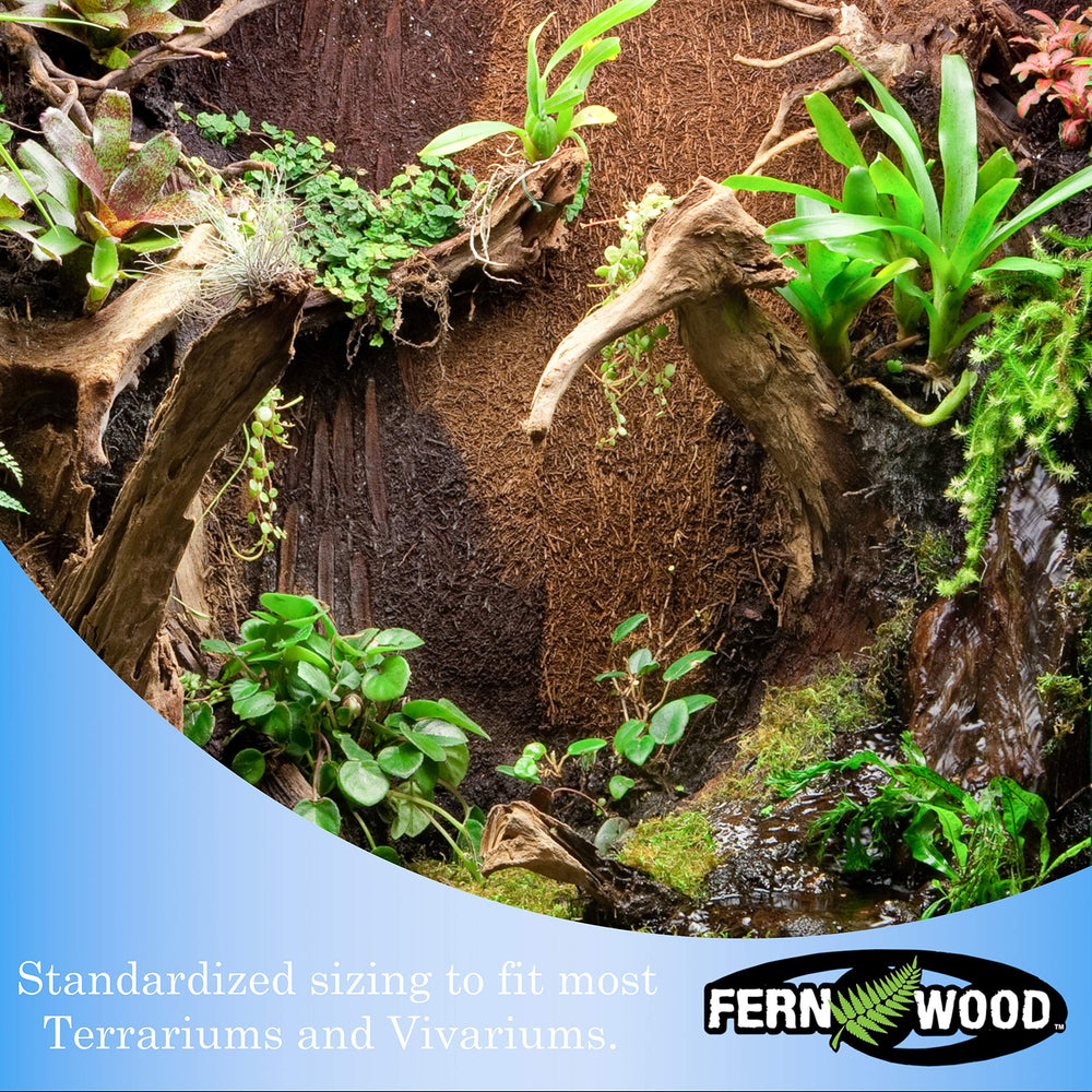 Fernwood background panel epiphyte attachment supports moss and air plants for lush decor.