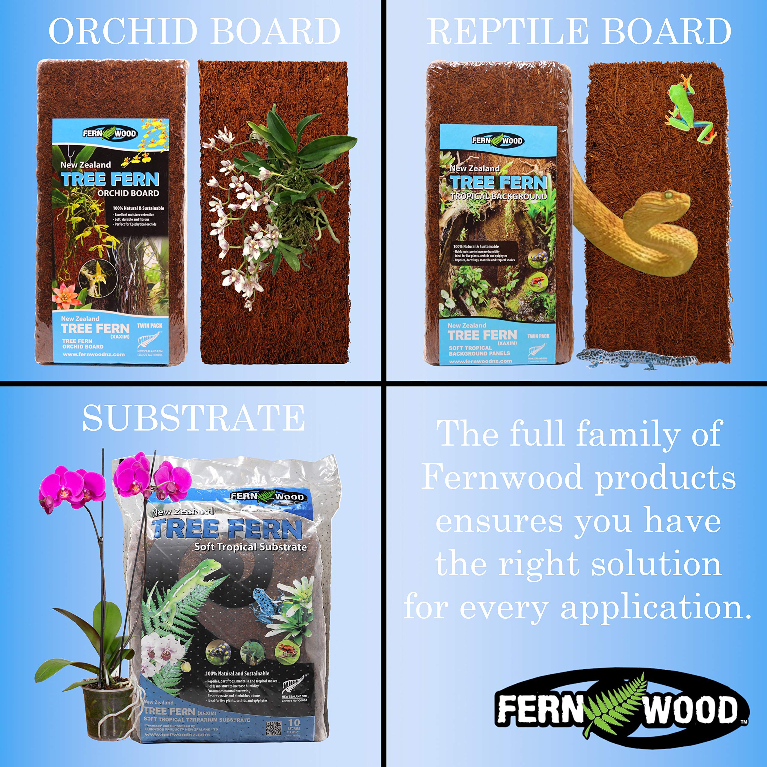 Fernwood closeup tree-fern panel texture demonstrates natural fibrous composition ideal for backgrounds.
