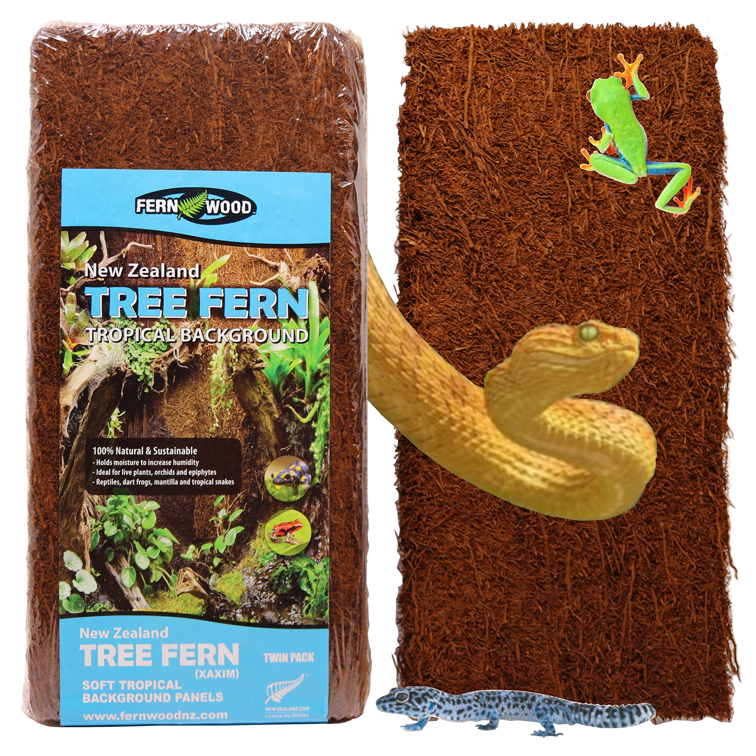 Fernwood tree fern panel natural texture for authentic vivarium aesthetics and habitat enrichment.