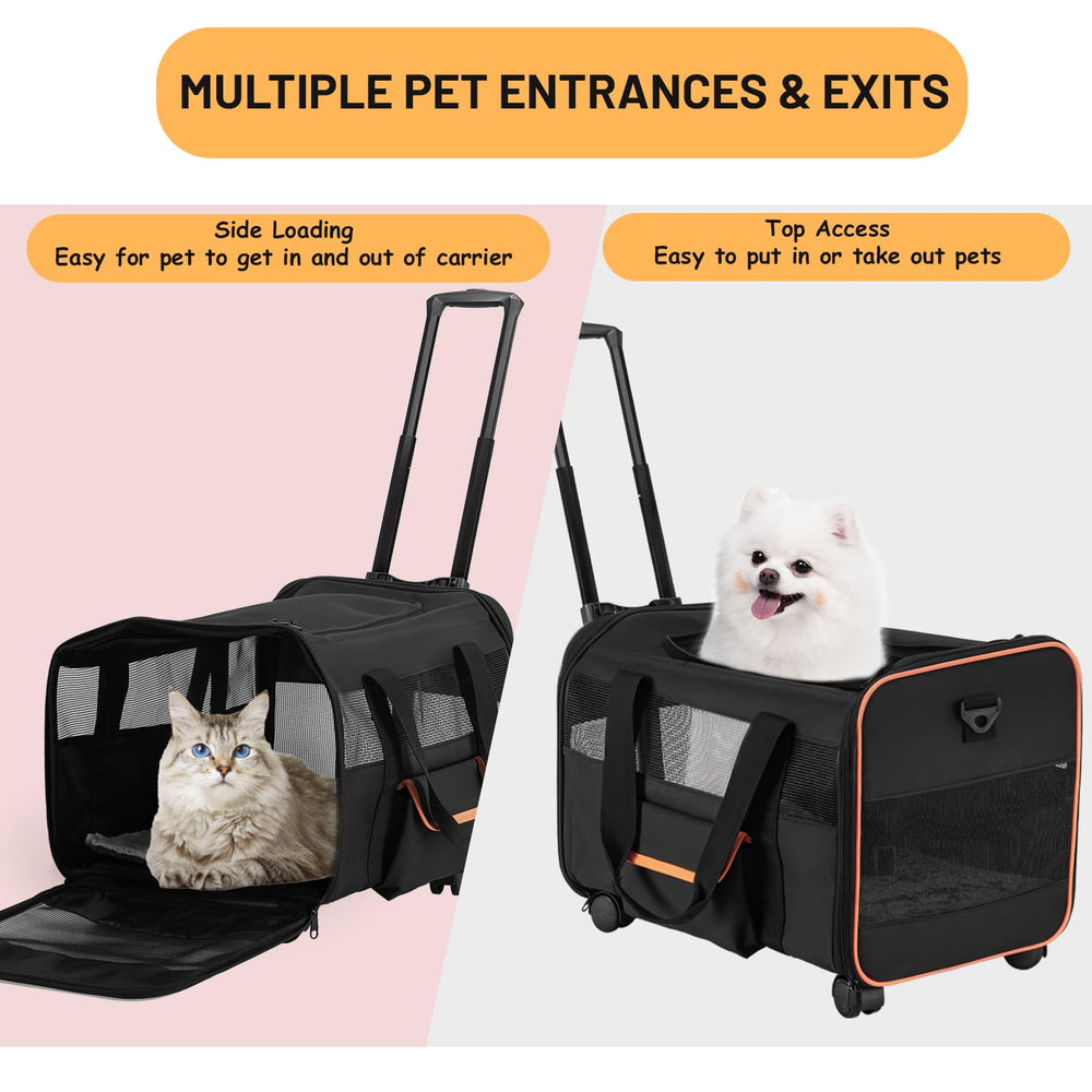 Ferrafay pet carrier compact design suits car trips and vet visits.