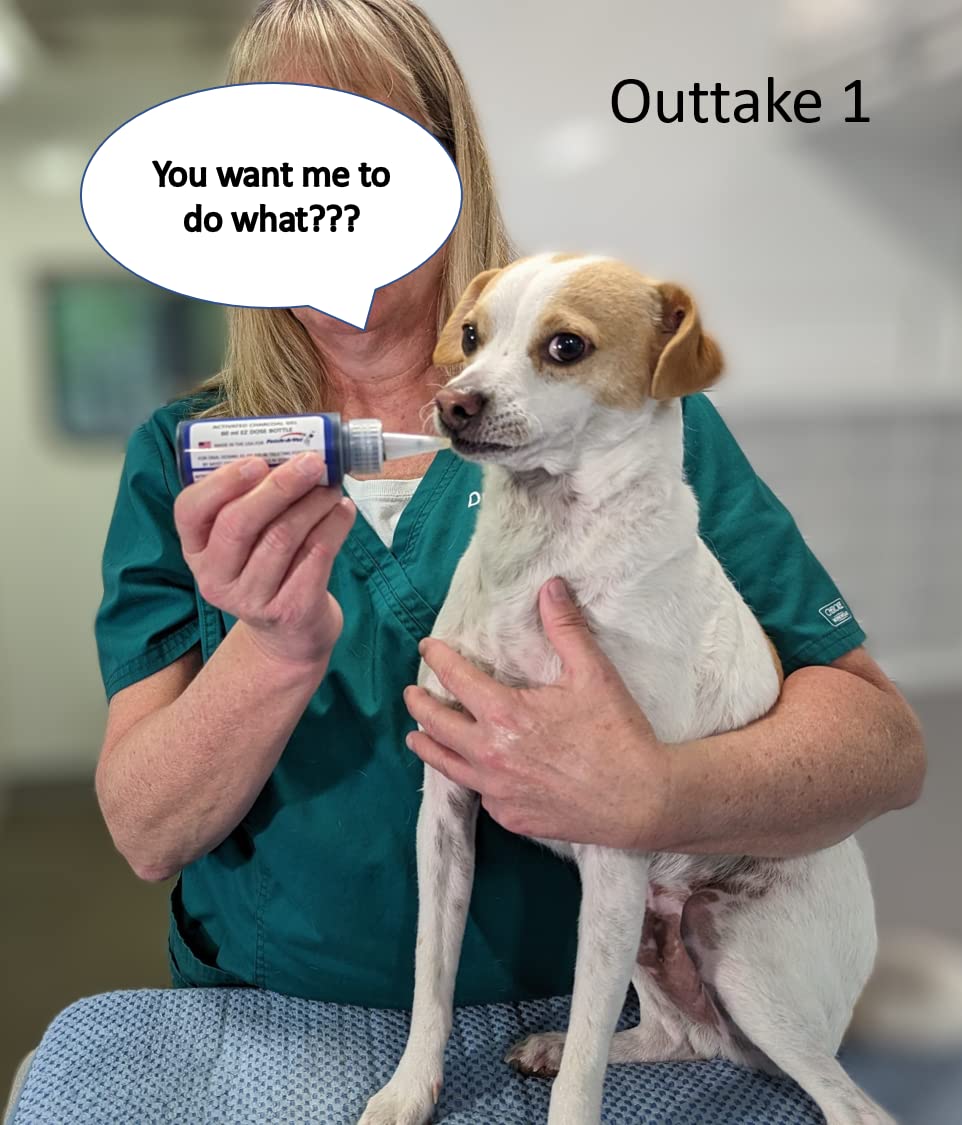 Fetch A Vet activated charcoal gel dose being squeezed into a pet's mouth for quick response.