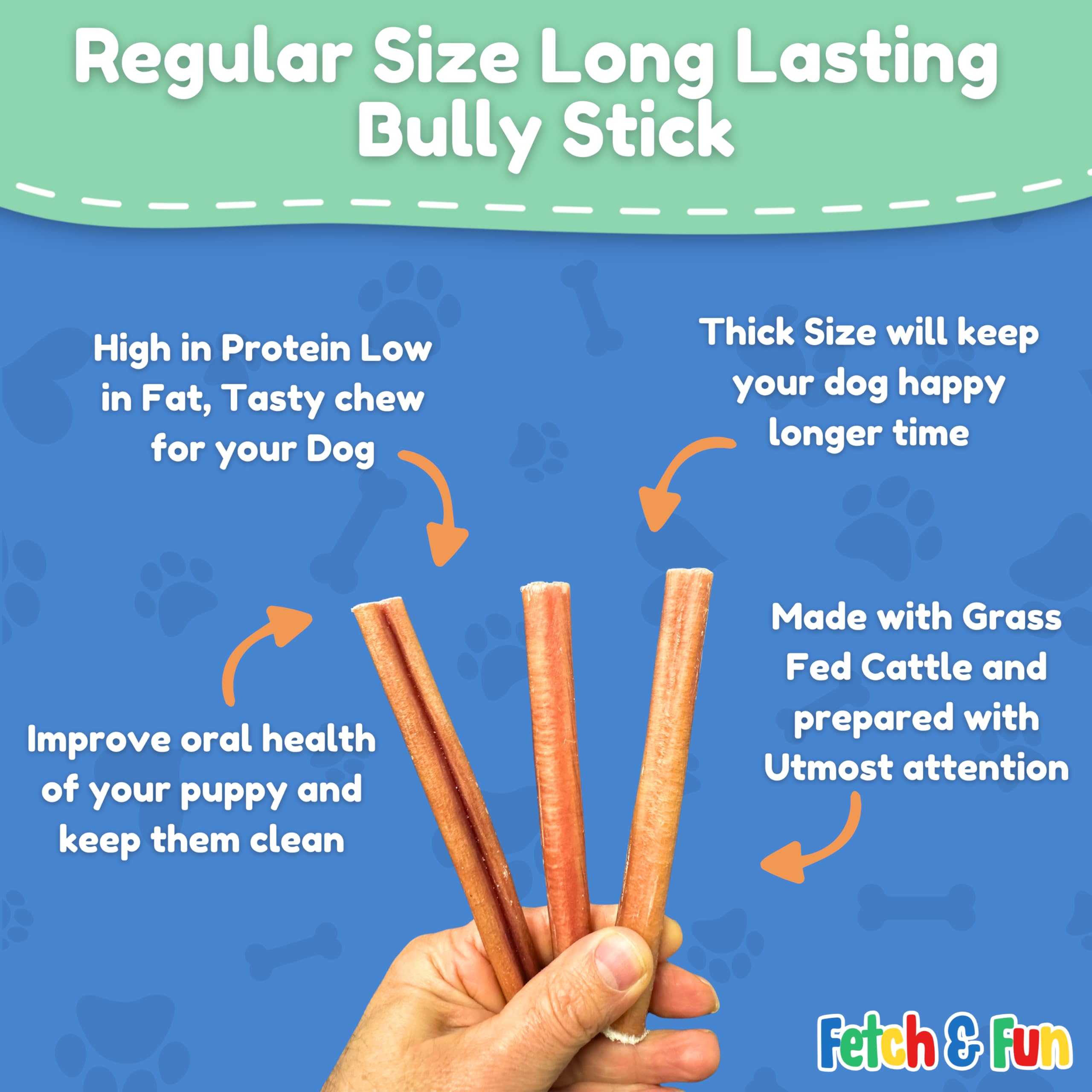 Fetch & Fun Bully Sticks 6inch dog enjoying bite during playtime for mental enrichment.