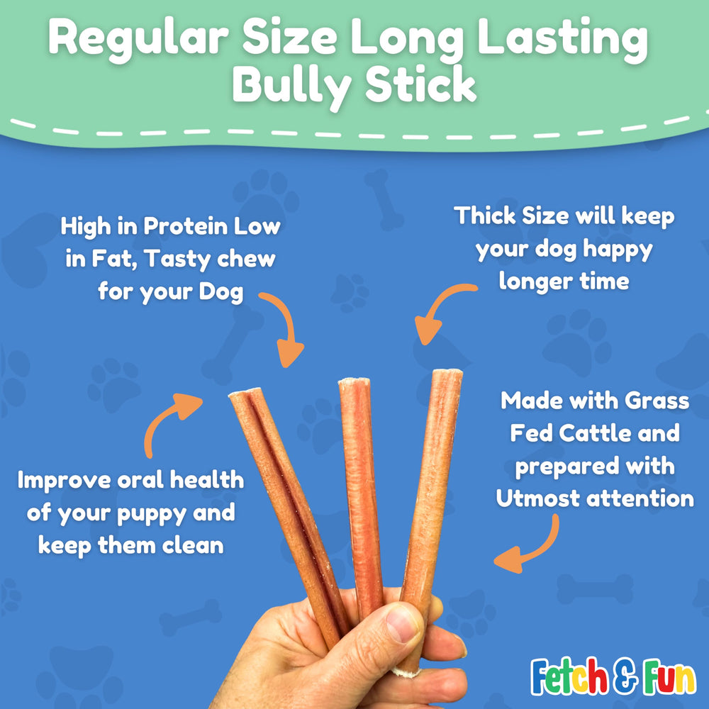 Fetch & Fun Bully Sticks 6inch dog enjoying bite during playtime for mental enrichment.