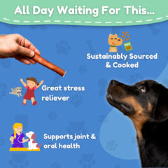 Fetch & Fun Bully Sticks natural ingredients label emphasizes single-ingredient chew option.