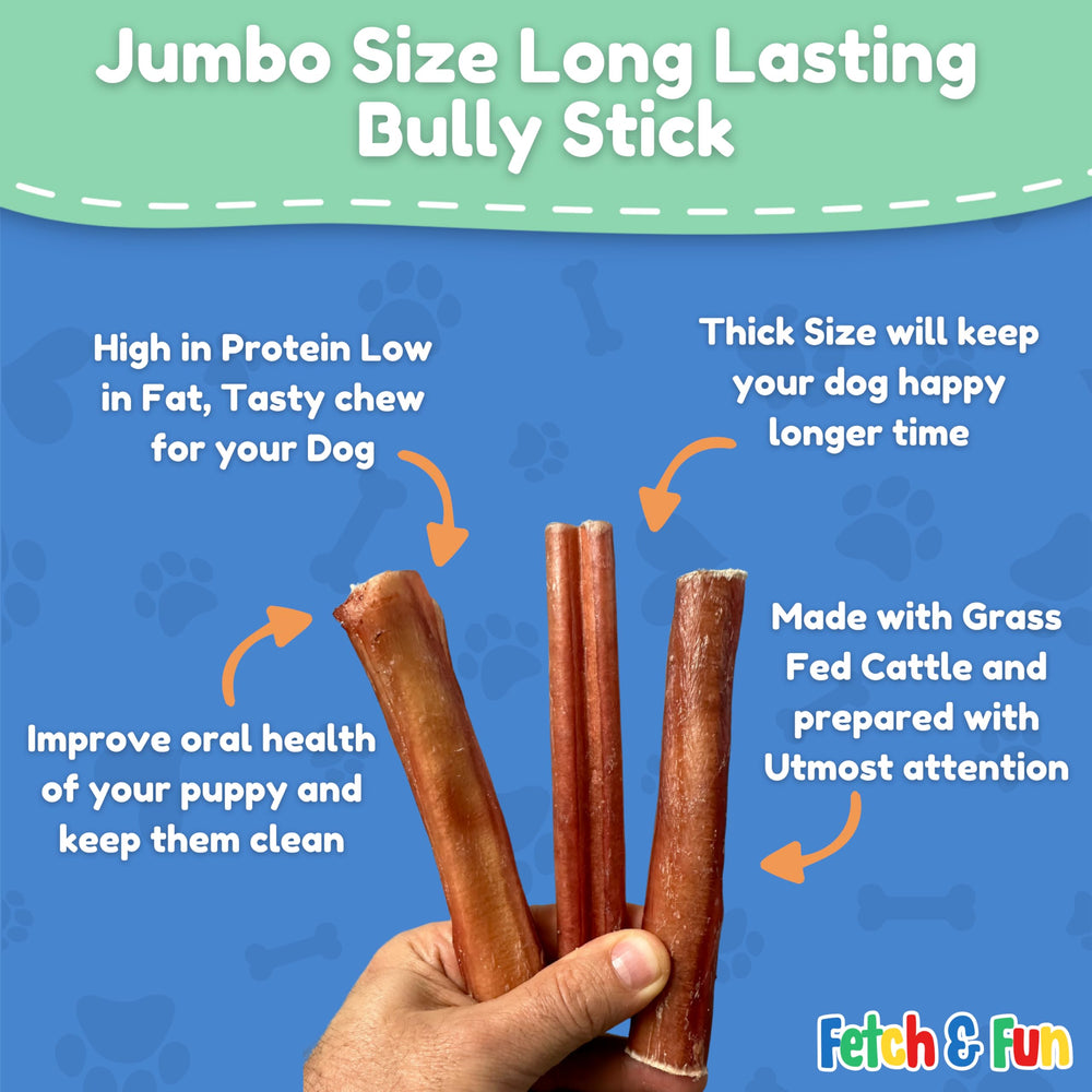 Fetch & Fun BULLYSTICKS dental-health benefits seen during cleaning sessions.