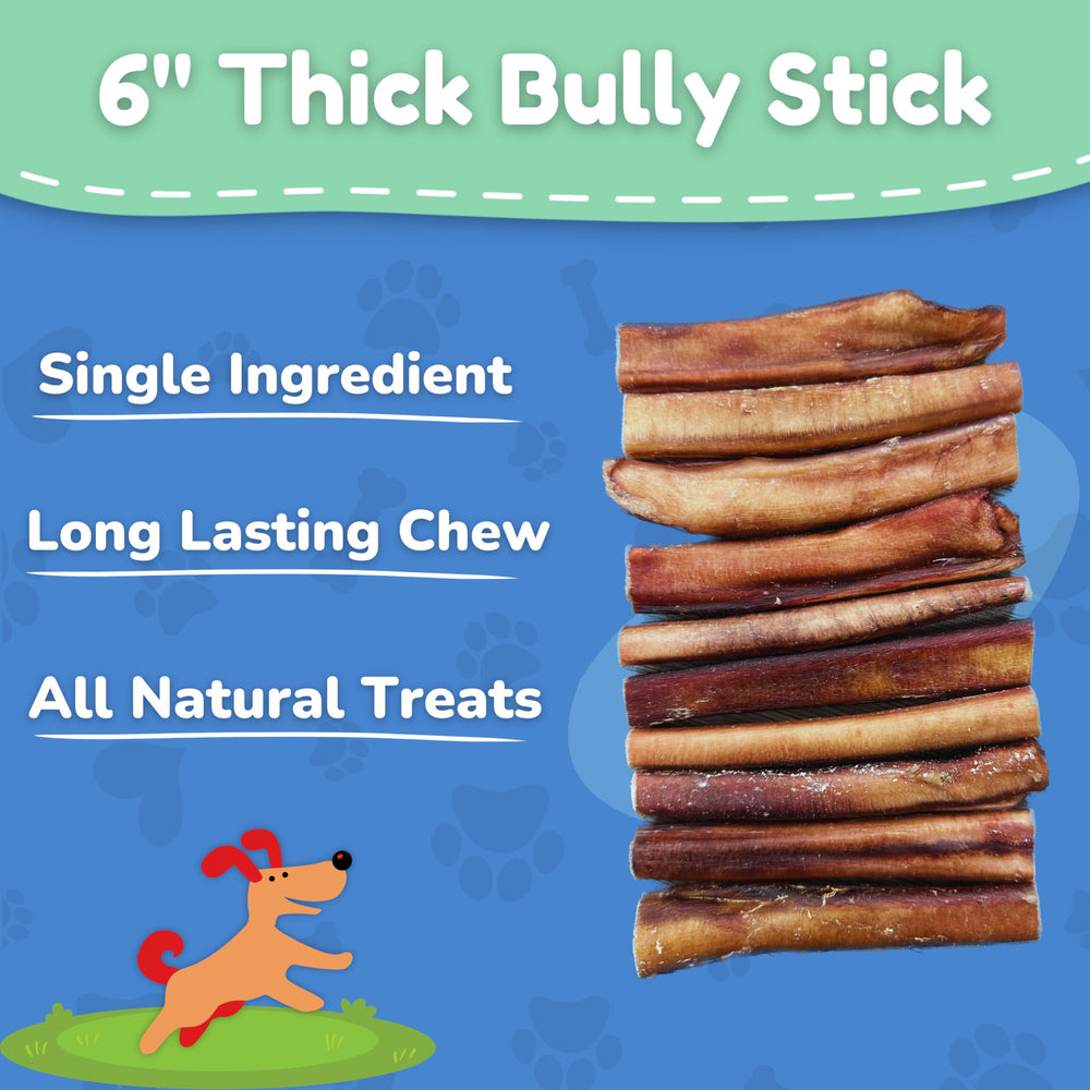 Fetch & Fun BULLYSTICKS dog chewing close-up shows mental engagement during chew.