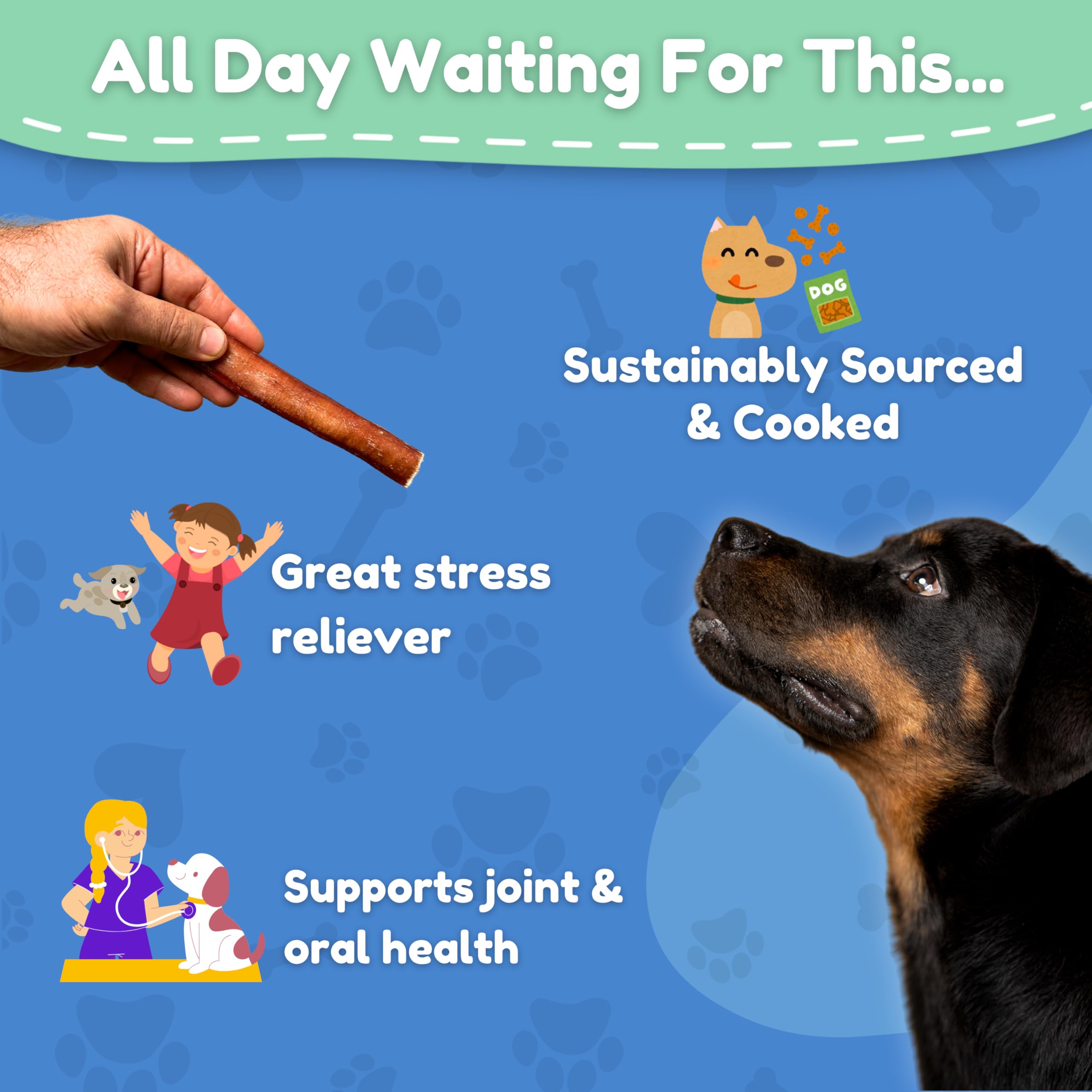 Fetch & Fun BULLYSTICKS protein-rich chew supports muscle energy during play.