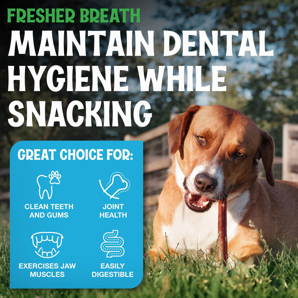 Fetcheroni bully sticks with low odor for home use.