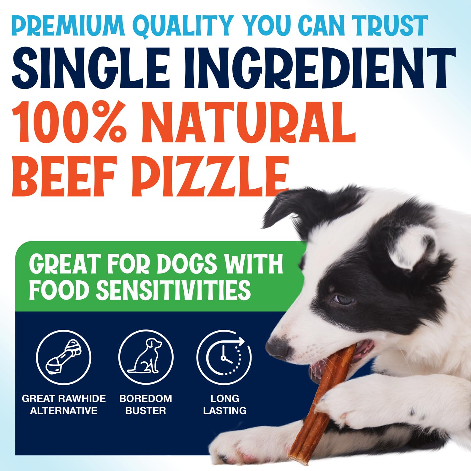 Fetcheroni dental health benefits — chew session supports gums and teeth