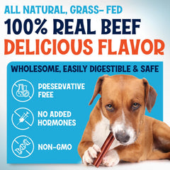 Fetcheroni grass-fed beef pizzle closeup — premium sourcing and rich flavor