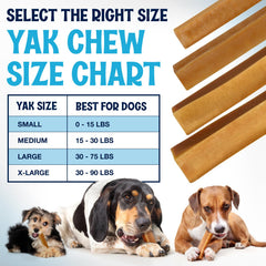 Fetcheroni Himalayan Yak Chews closeup texture reveals chewy, long-lasting chew.