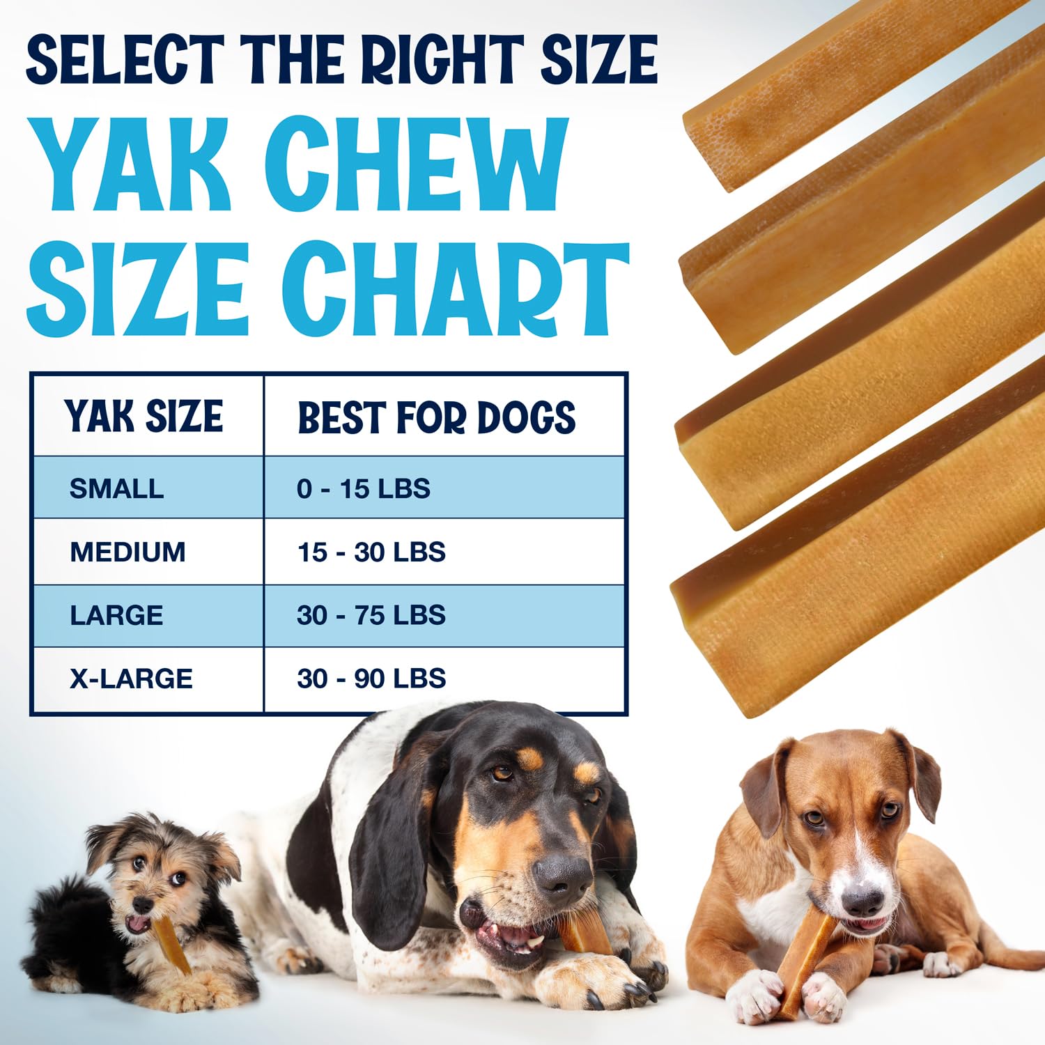 Fetcheroni Himalayan Yak Chews chewed by a dog, supports dental health.
