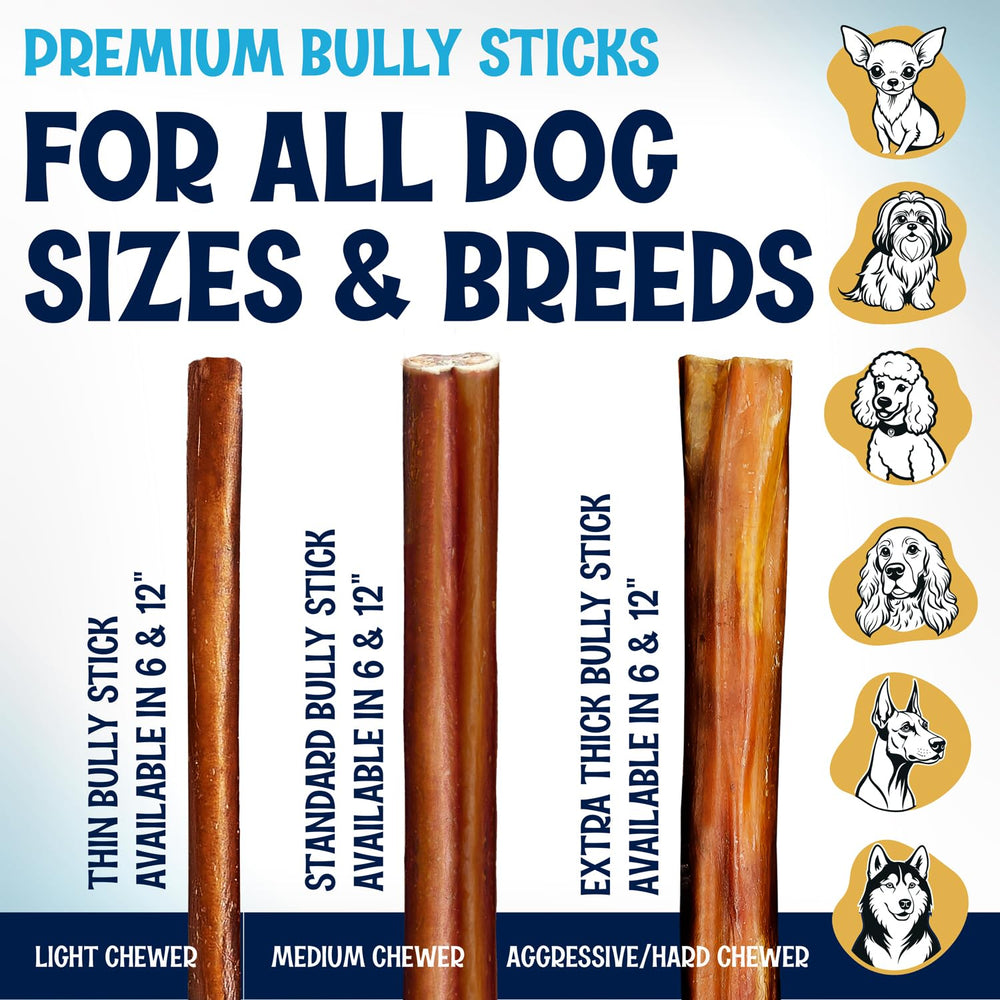 Fetcheroni Jumbo Bully Sticks low-odor chew being enjoyed by a dog.
