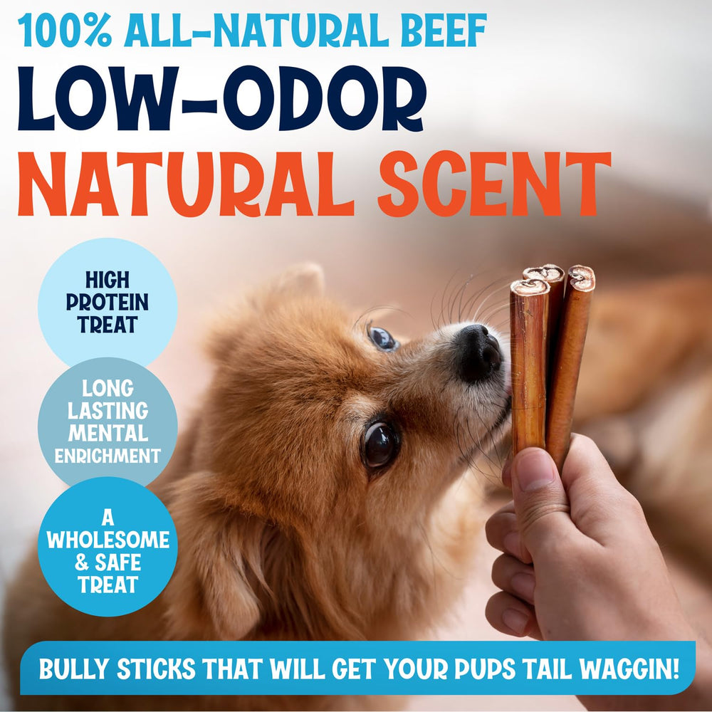 Fetcheroni slow-dried flavor — preserves nutrients and taste in every stick