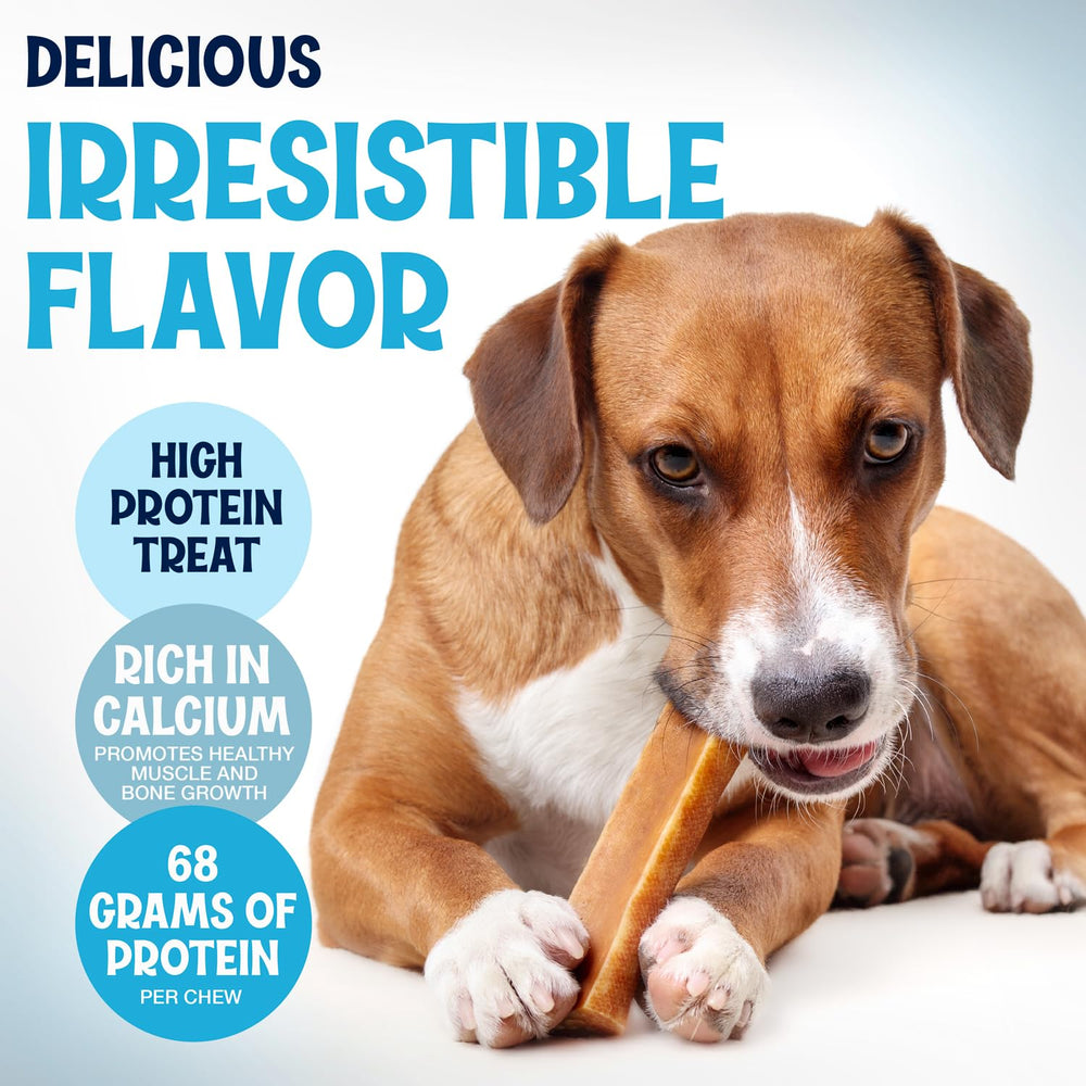 Fetcheroni Yak Cheese Himalayan dog chews no preservatives for cleaner ingredients.