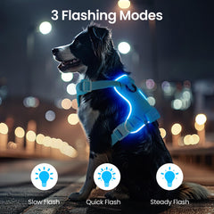 Feycig light up harness provides 360-degree visibility during night walks.