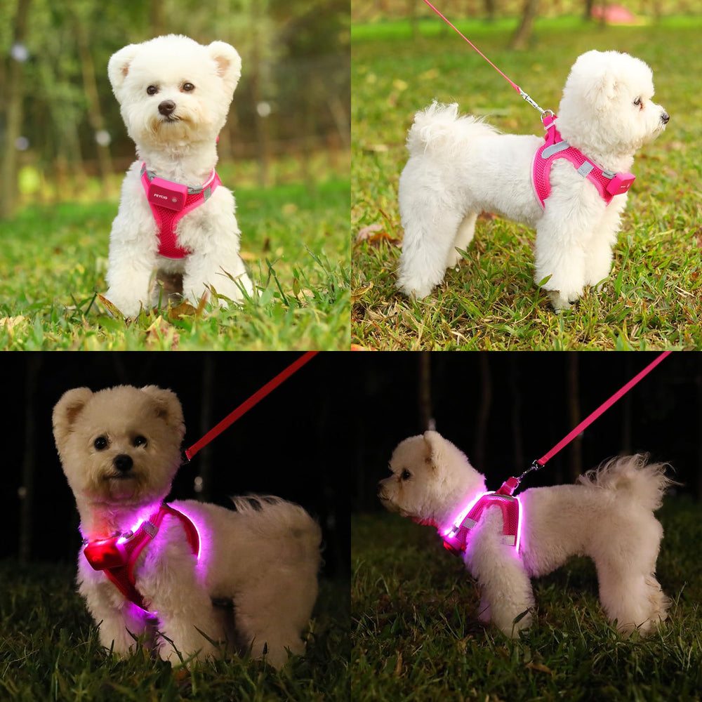 Feycig light-up dog harness pink-360-reflective ensures full visibility