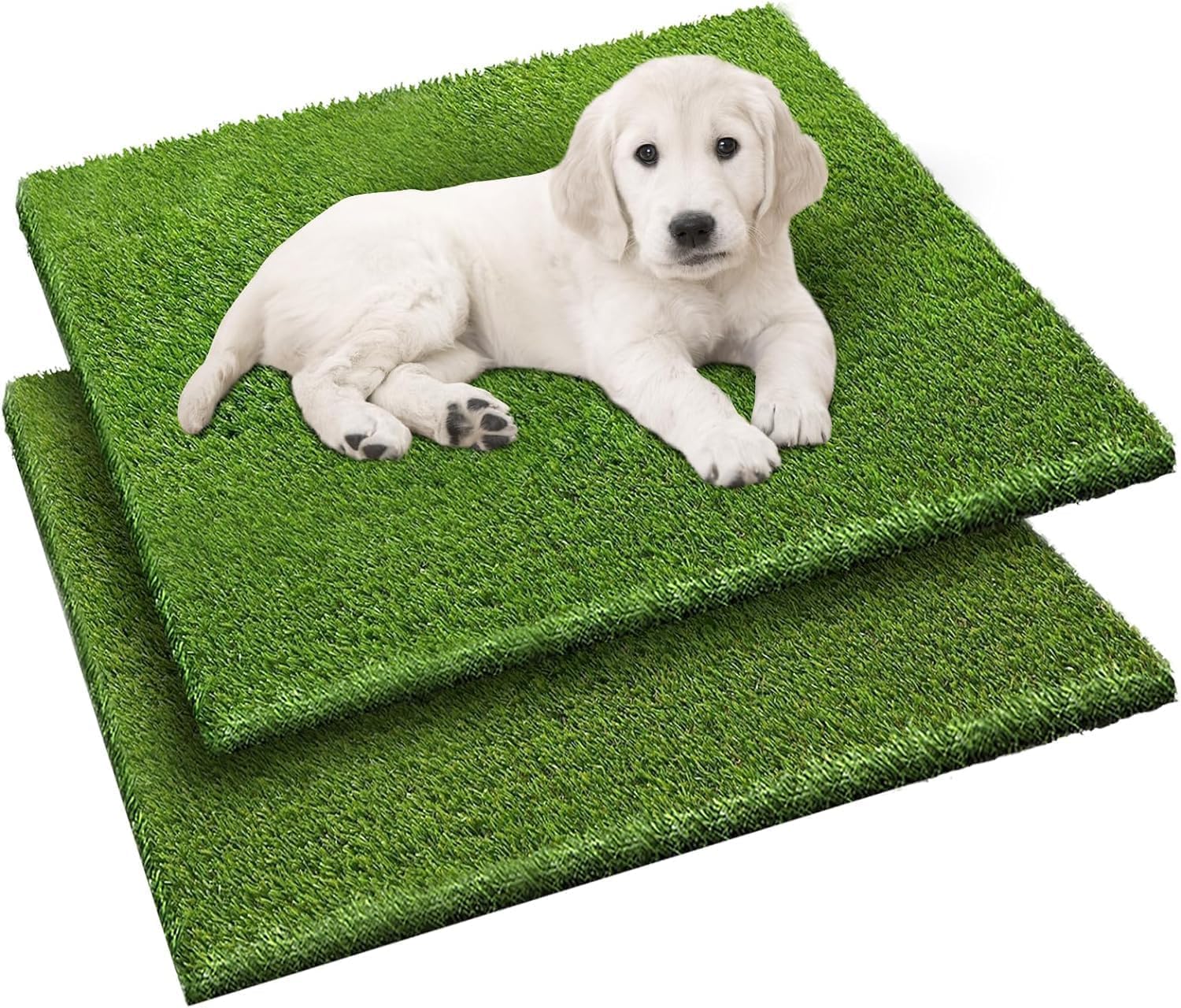 Fezep two-pack dog grass pads overview with soft turf for potty training convenience