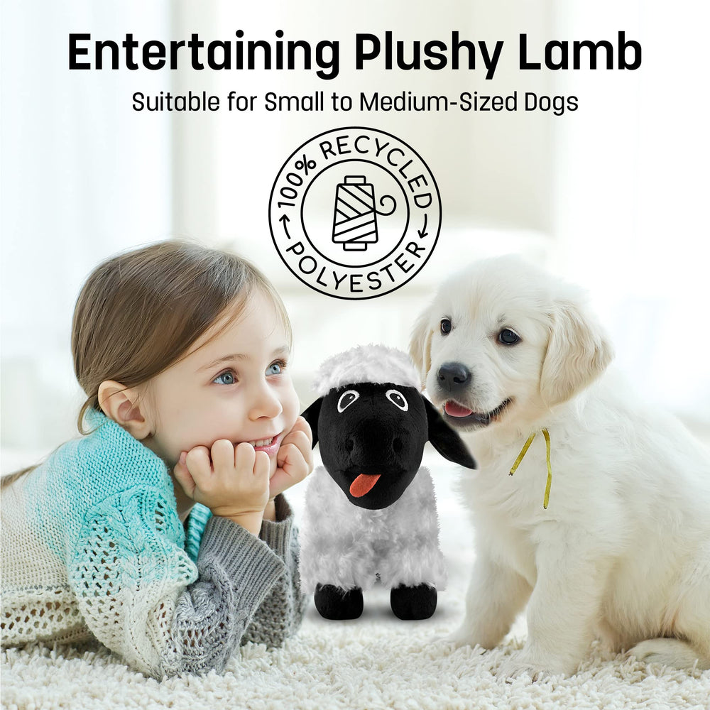 FGA Marketplace Black Sheep Plush Toy durability hint for small to medium dogs