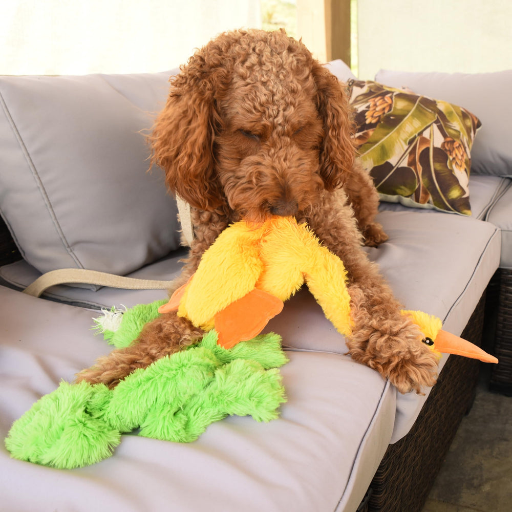 FGA Marketplace flat no-squeak dog toy for quiet play sessions.