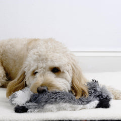 FGA Marketplace Racoon-Squirrel Flat Toy close-up fabric shows soft durable material for long chew sessions