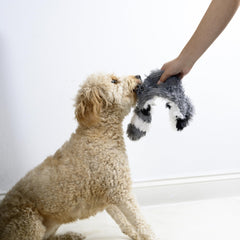 FGA Marketplace Racoon-Squirrel Flat Toy no-stuffing helps keep mess to a minimum