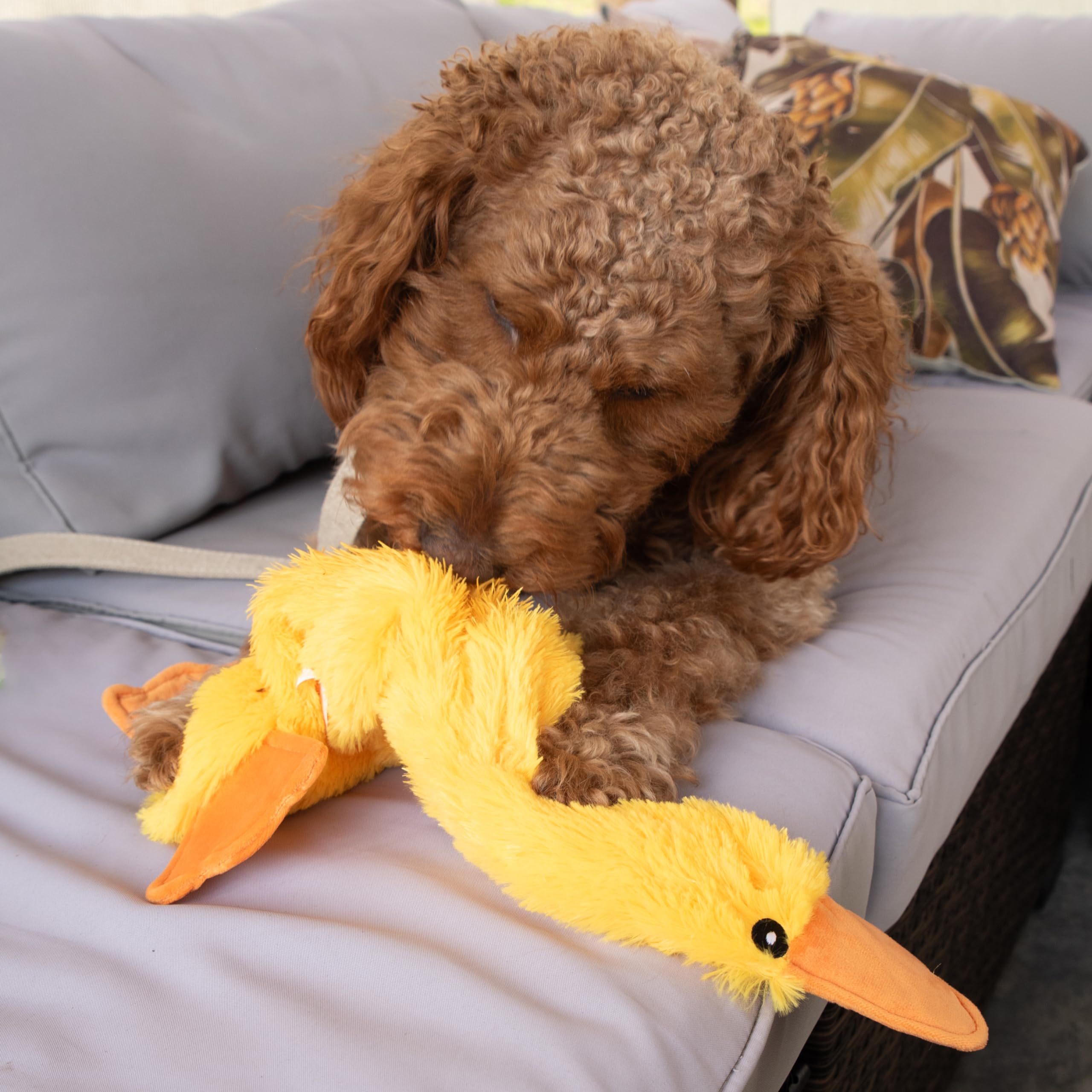FGA Marketplace Duck Flat faux fur stays bright after repeated play.