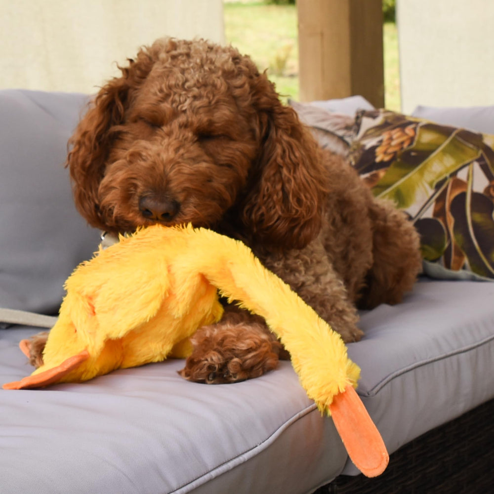 FGA Marketplace Duck Flat thick fabric with minimal seams for durability.