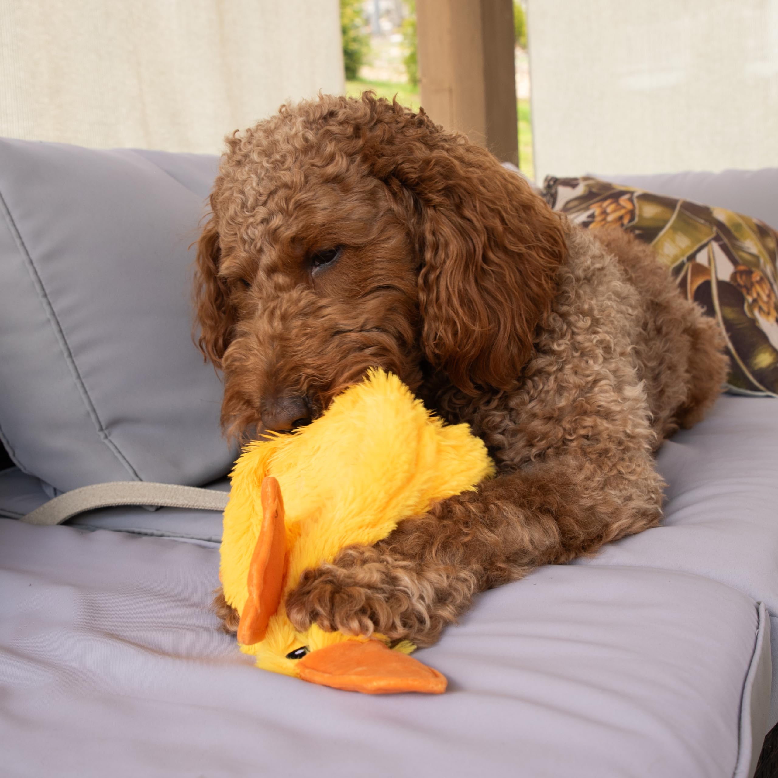 FGA Marketplace Duck Flat no-stuffing design reduces mess during chew sessions.