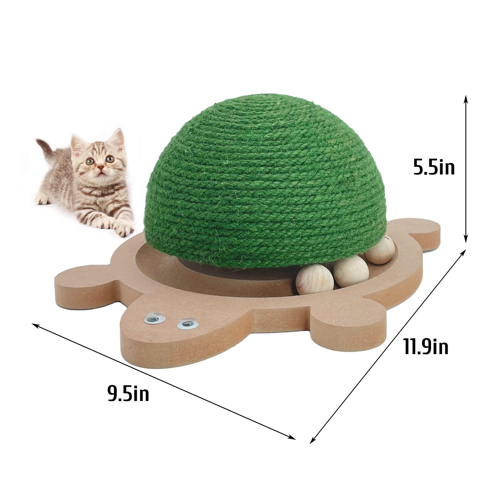 Fhiny cat nose paw play invites gentle exploration and chase.