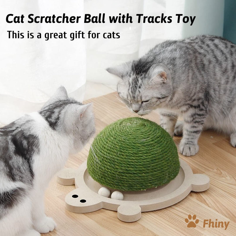 Fhiny catnip friendly setup boosts initial interest during playtime.