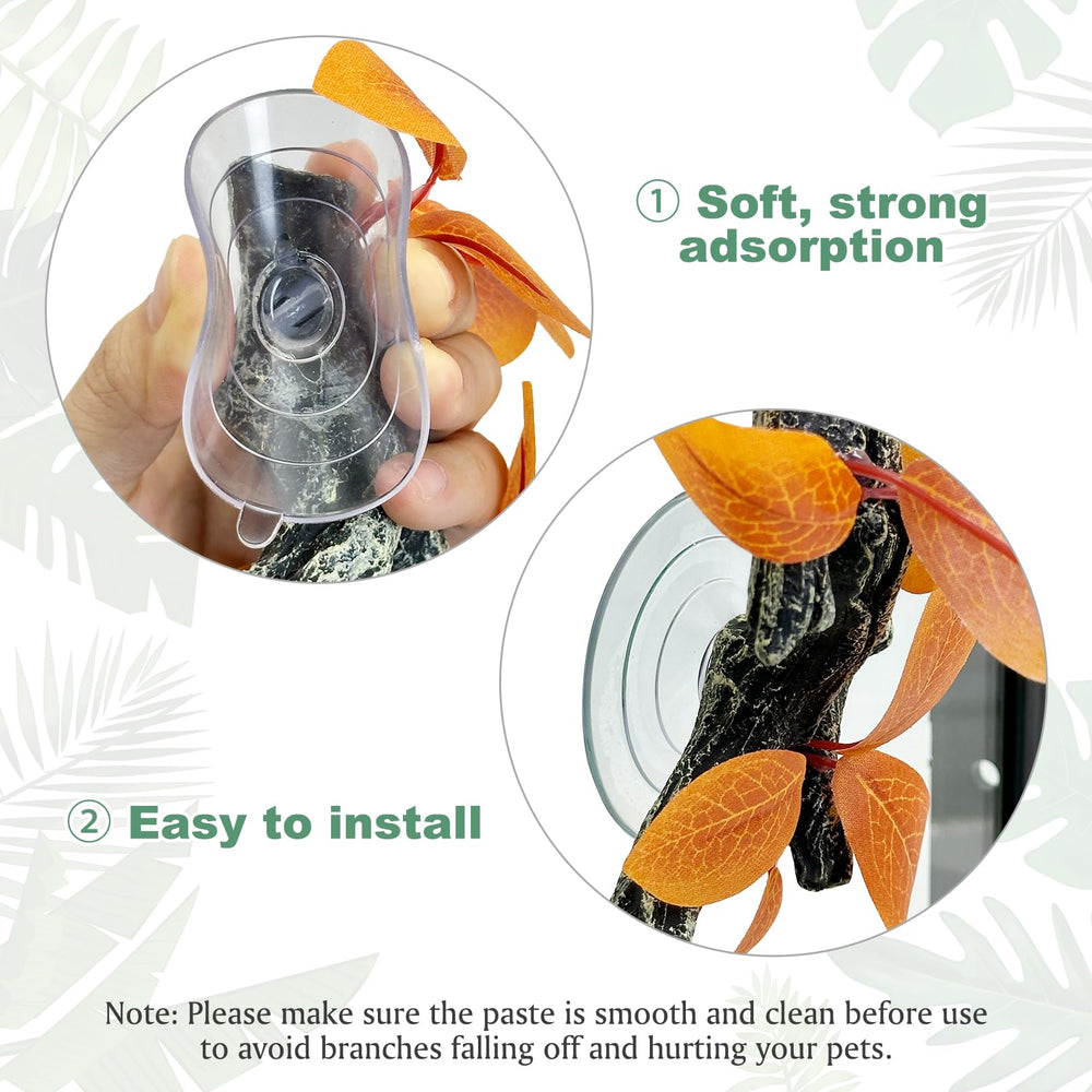 Fhiny easy-installation suction branch simplifies terrarium setup.
