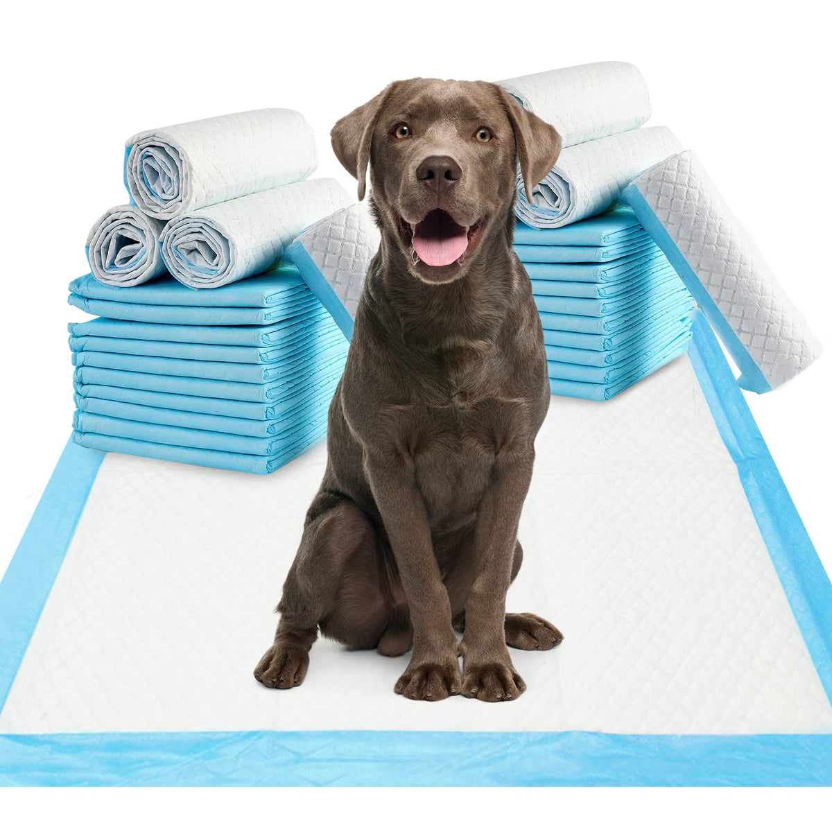 Fhiny pee pads for dogs 24x36 top layer soft non-woven keeps paws comfortable indoors