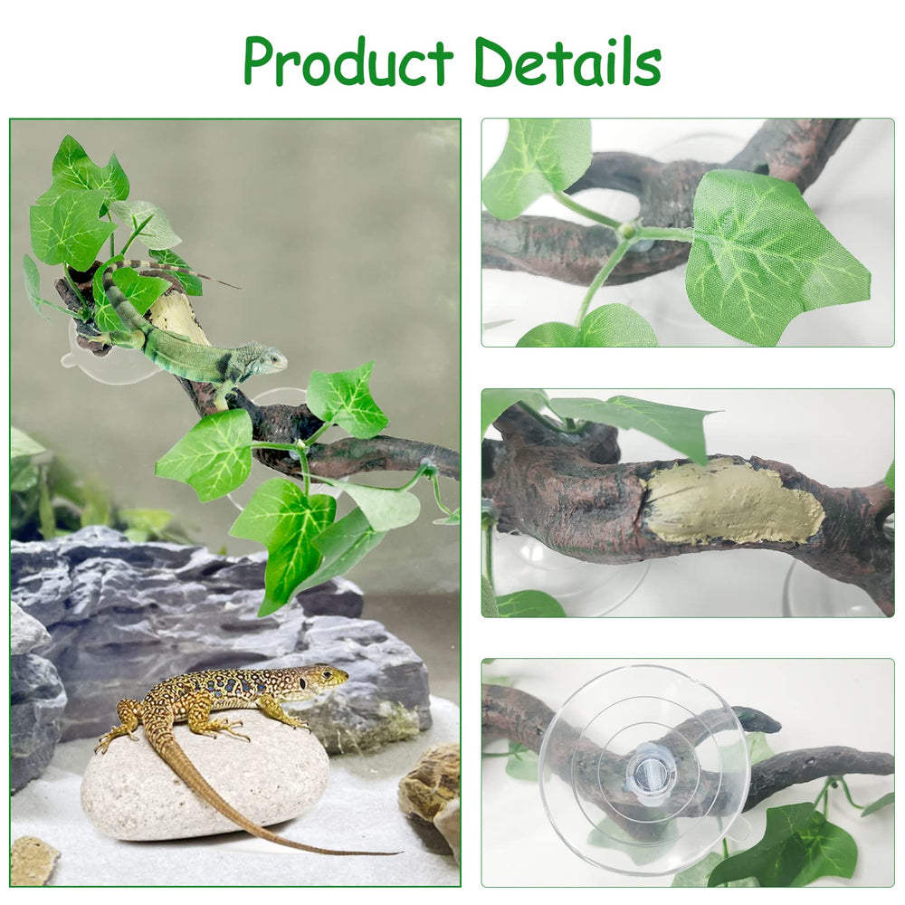 Fhiny reptile branch bearded dragon use shows hiding and perching space