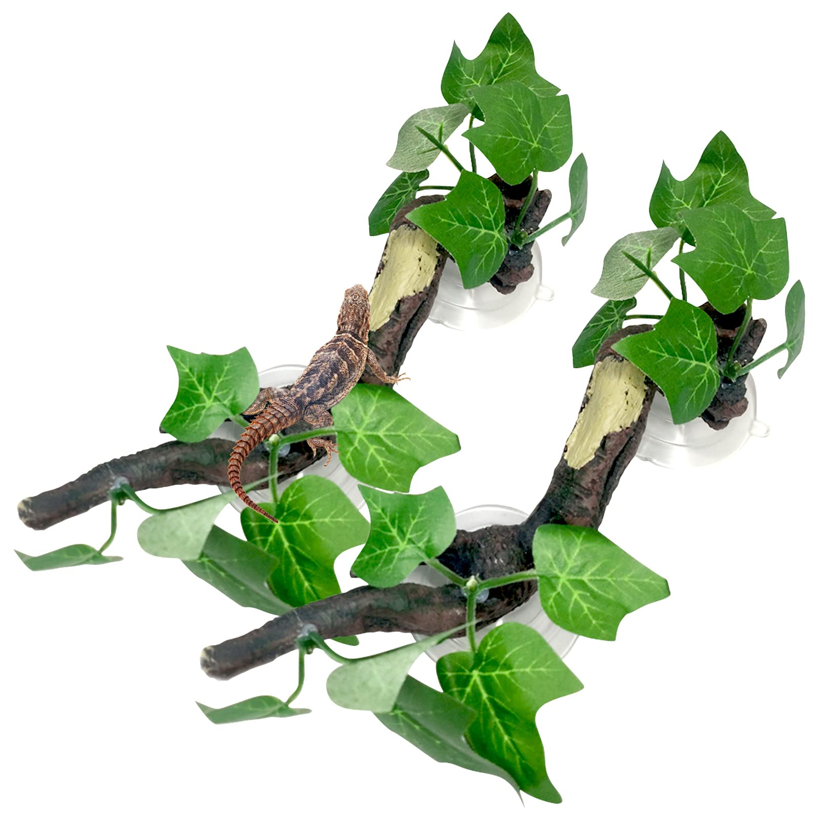 Fhiny reptile branch leaves closeup highlighting lifelike texture for natural terrarium scenery
