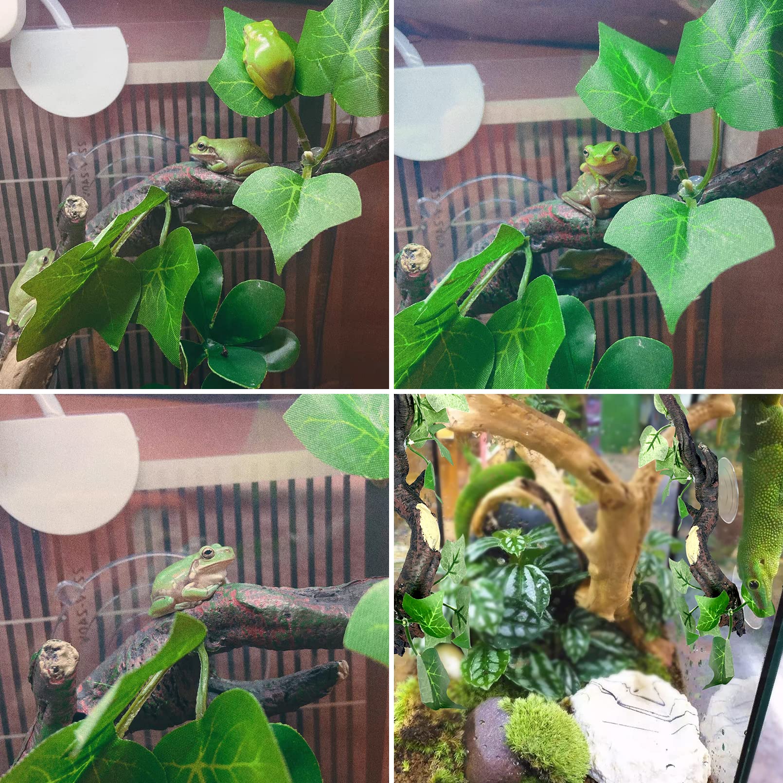 Fhiny reptile branch suction cups inside tank ensures secure climbing for reptiles