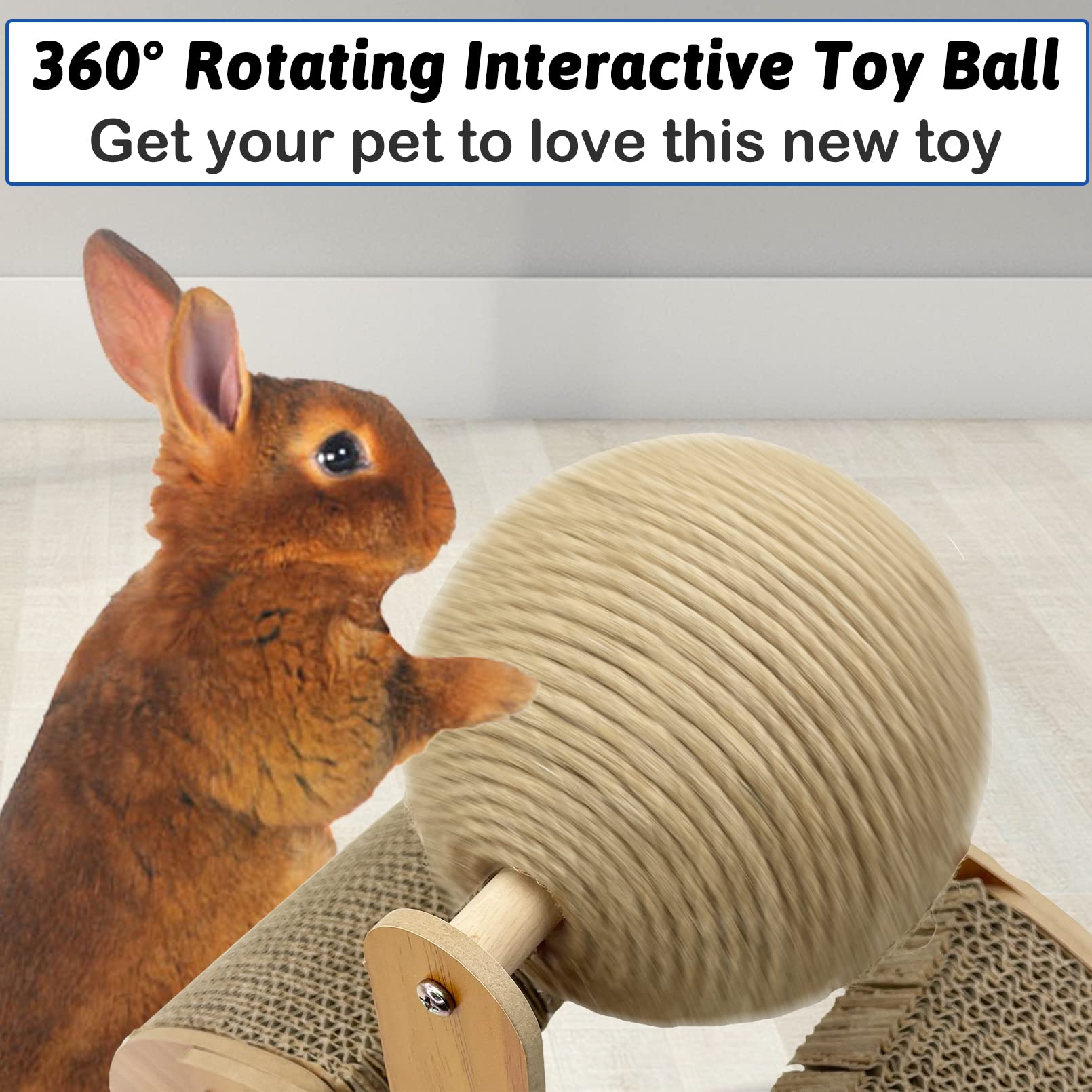 Fhiny small-animal playtime captures pets enjoying a healthy indoor outlet.