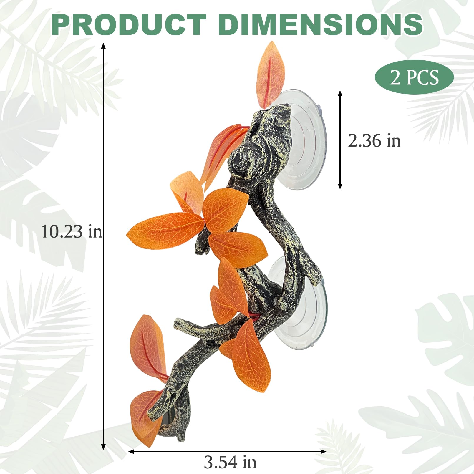 Fhiny suction cups securely attach branches to smooth terrarium walls.