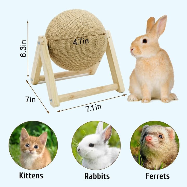 Fhiny wood-backed scratching ball in action demonstrates stable play area for rabbits.