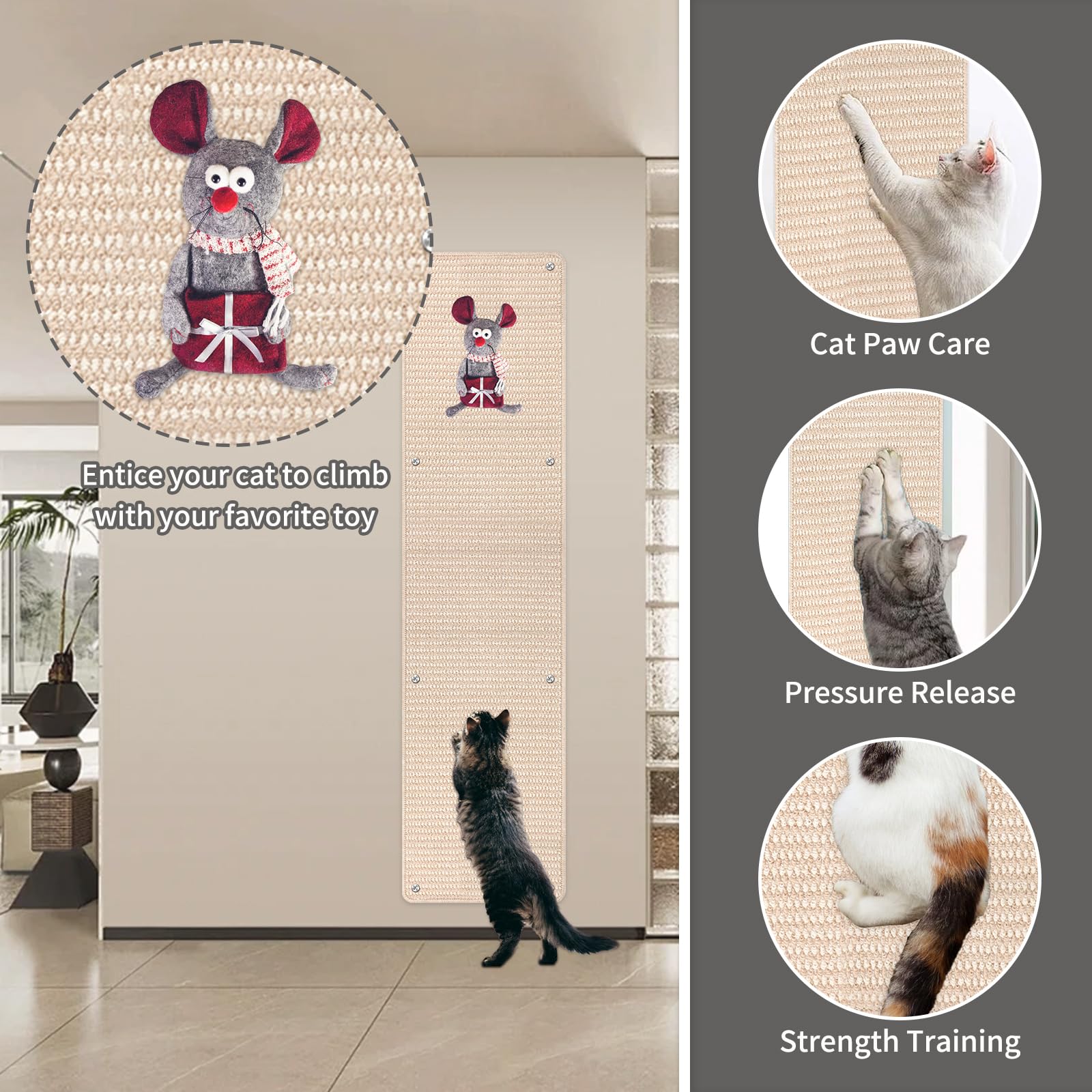 FHTONGE vertical space supports stretching and healthy activity.