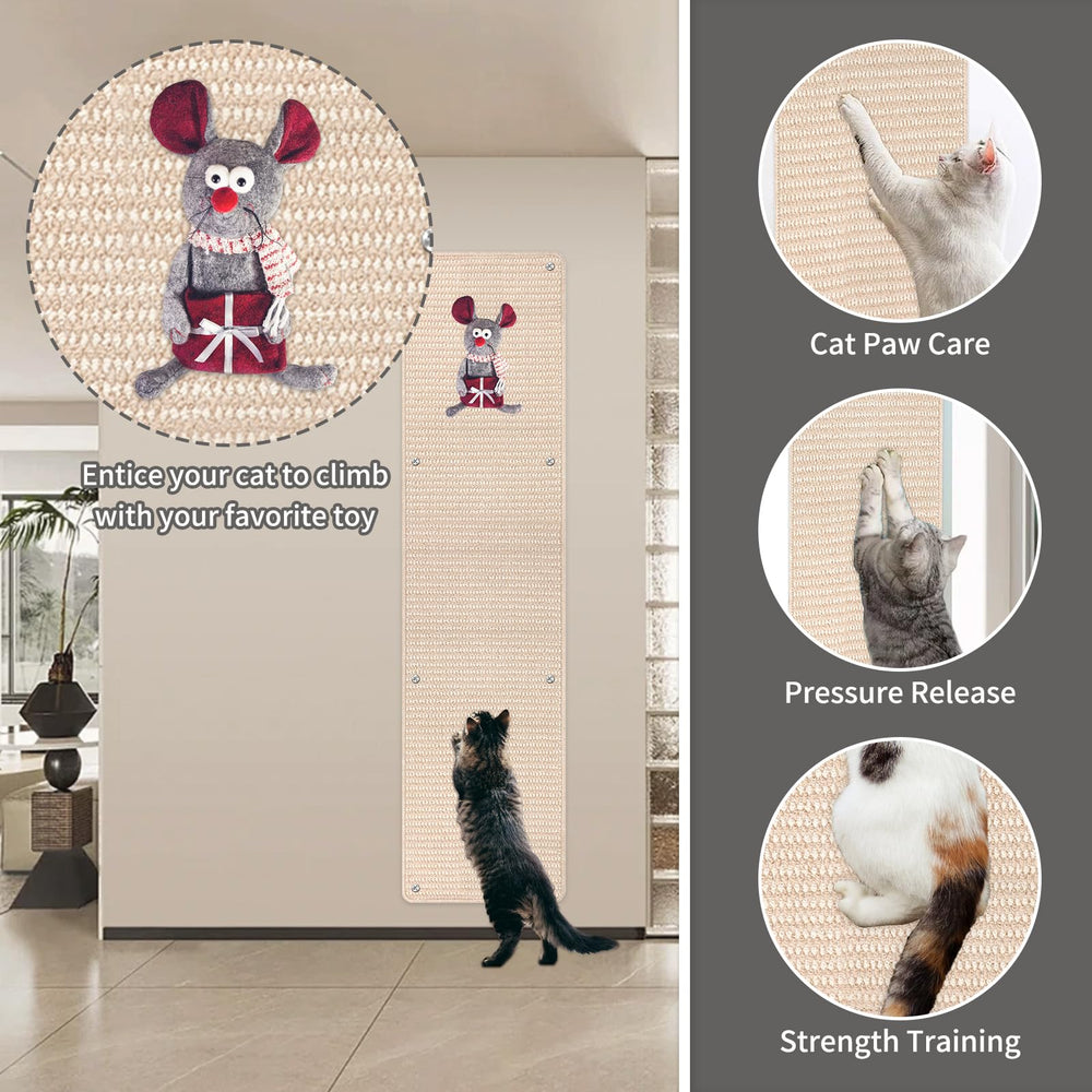 FHTONGE vertical space supports stretching and healthy activity.