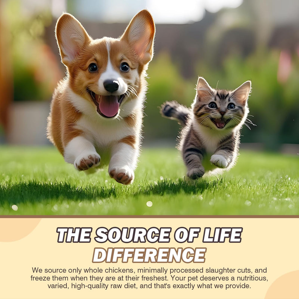 FHZRLP Freeze Dried Chicken nutrition highlight for pet well-being