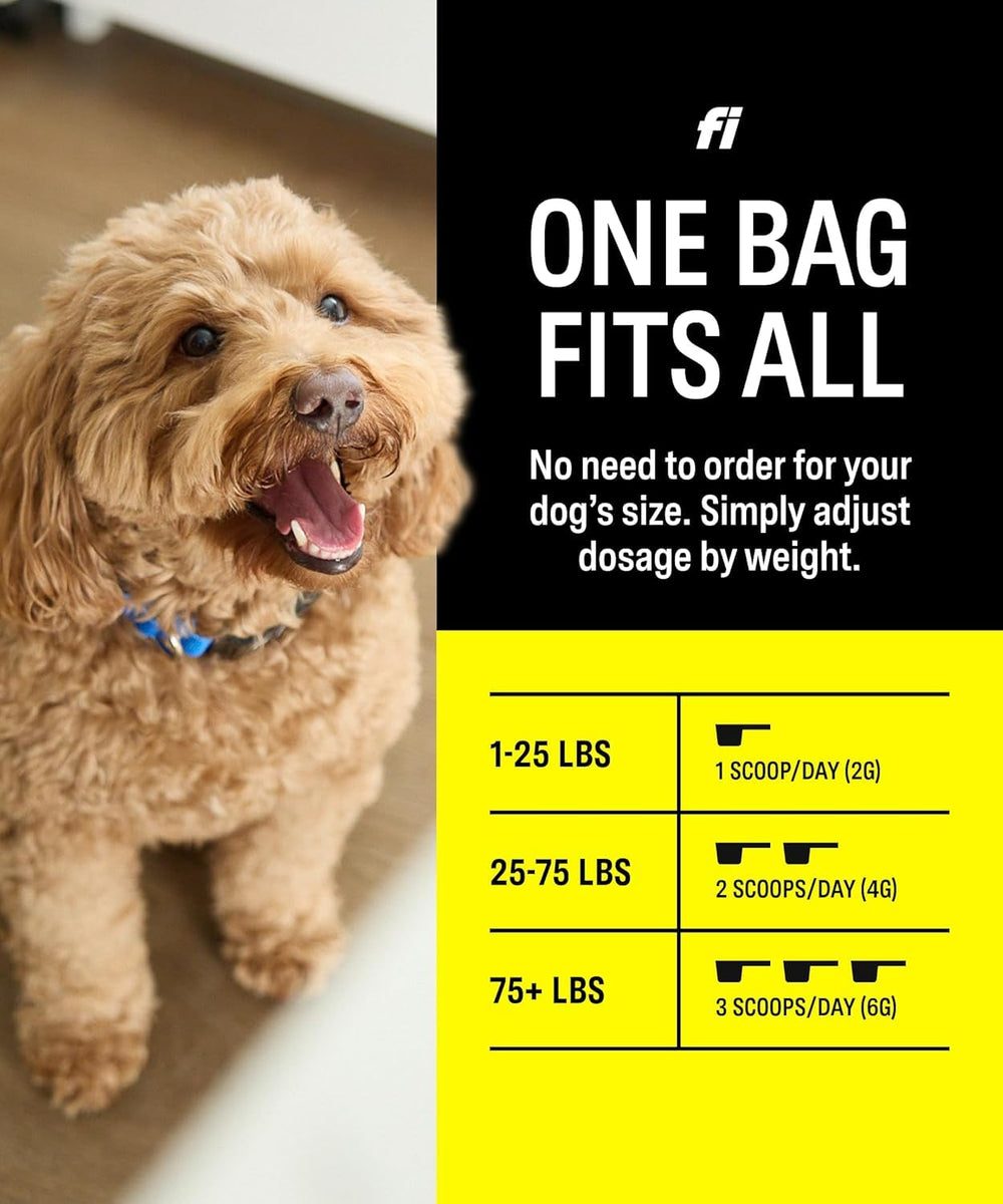 Fi 8-in-1 dog supplement powder mixed into wet food on a counter.