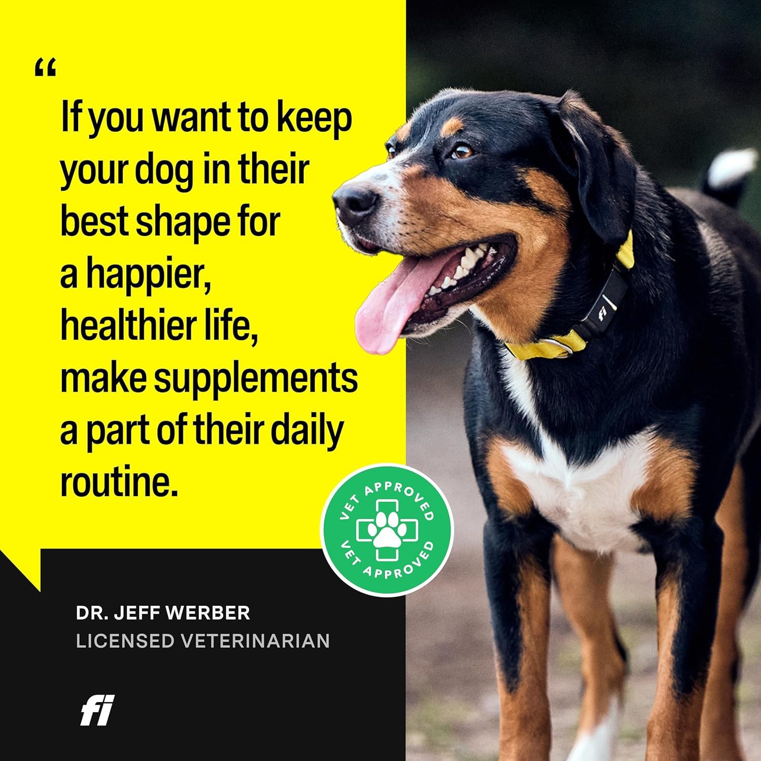 Fi 8-in-1 dog supplement powder ingredient panel highlights glucosamine and turmeric.