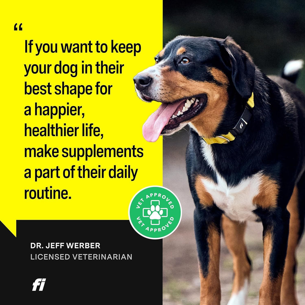 Fi 8-in-1 dog supplement powder ingredient panel highlights glucosamine and turmeric.