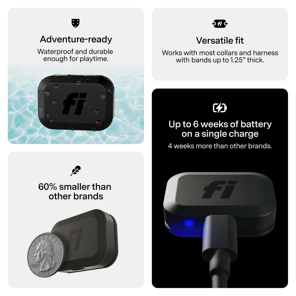 Fi Mini activity and sleep tracking gives insight into daily rhythms.