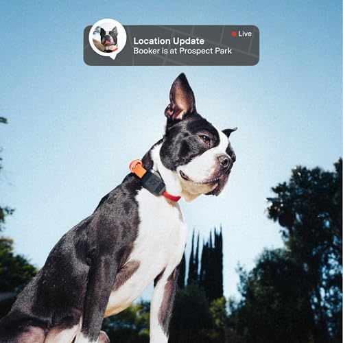 Fi Mini geofence and map view demonstrates instant escape alerts for quick action.