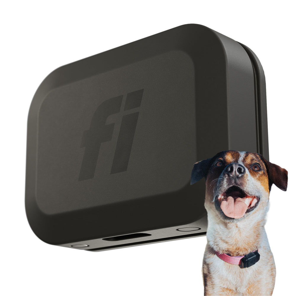 Fi Mini tracker on collar shows real-time location for peace of mind.