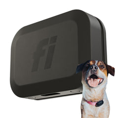 Fi Mini tracker on collar shows real-time location for peace of mind.